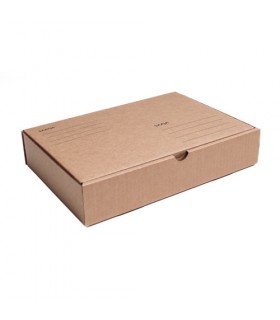 Cardboard box P-3